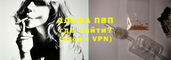 стаф Надым