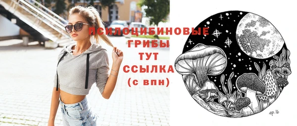 соль ск Нея
