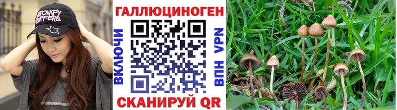 mega онион  Карталы  Галлюциногенные грибы Psilocybine cubensis 