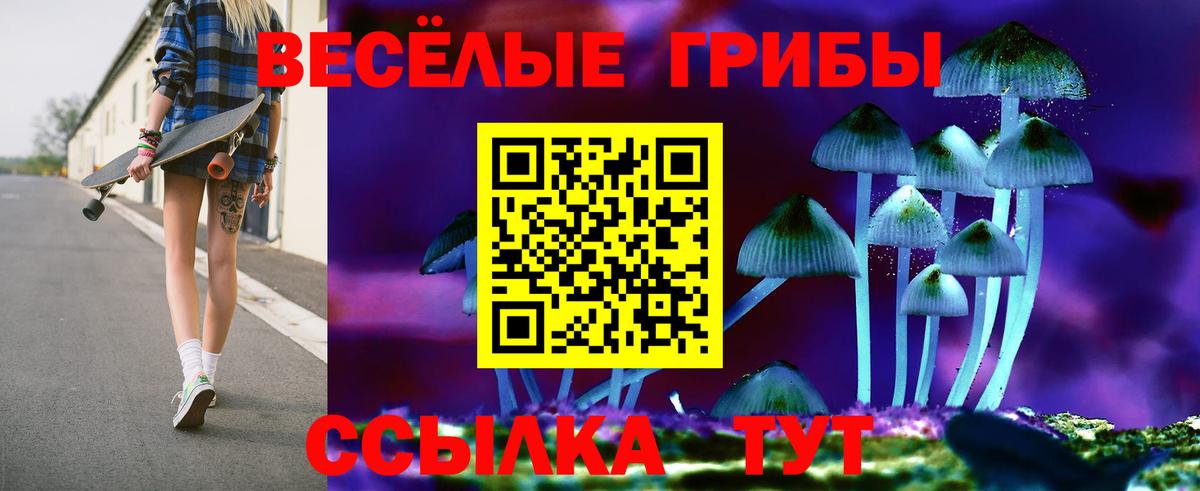 магазин продажи наркотиков  Галлюциногенные грибы MAGIC MUSHROOMS  Вход с VPN  Карталы 